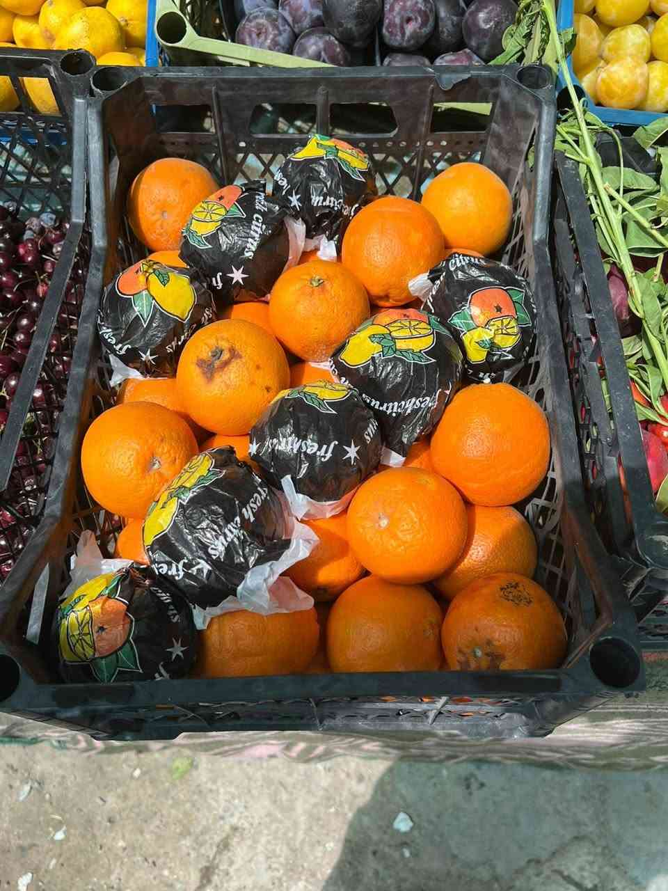 السلام عليكم
نعلن لكم (علوة العكلي)

صندوك الطماطه ١٥ كيلو ٤٠٠٠🍅
بطاطه          ٧٥٠.   ٣. الفين🥔
 بصل             ٧٥٠.   ٣ الفين
بيدنجان         ٧٥٠    ٣.  الفين🍆
خيار.              ٧٥٠.    ٣. الفين🥒
طماطه.            ٥٠٠🍅
شجر.              ٥٠٠🥒
طرعوزي.        ٥٠٠ 🥒

بطاطه جبسيه حمره ١٠٠٠🥔
جزر.          ١٠٠٠🥕
ثوم.         ٣٠٠٠🧄
فلفل بارد. ٢٠٠٠🌶
باميه.       ٧٥٠ 

ركي شرط ٥٠٠🍉
بطيخ ٥٠٠🍈

#الفواكه
عنب.      ١٠٠٠🍇
موز.       ١٥٠٠🍌
برتقال.    ١٥٠٠🍊
يوسفي.  ١٥٠٠🍊
تفاح.      ١٥٠٠🍎

خوخ.              ٢٠٠٠🍑
مشمش.            ٢٠٠٠            
اللو.                 ٢٠٠٠🫒
عنجاص.          ٢٠٠٠🍑

كرز                  ٤٠٠٠🍒
الليمون.           ٣٠٠٠🍋

الخضره 🥦🥬🫚
 تشكيله  ٥  أبألف
سلق ٥٠٠

العنوان الشرقاط مقابيل تل الحمدان مقابيل الاستداره قرب مخبز التل مقابيل ماركت الاسوار 

زورونا وحياكم الله


**إذا كنت صاحب هذا الإعلان وتريد حذفه لأي سبب، رجاءا أرسل رسالة إلى الدعم الفني**