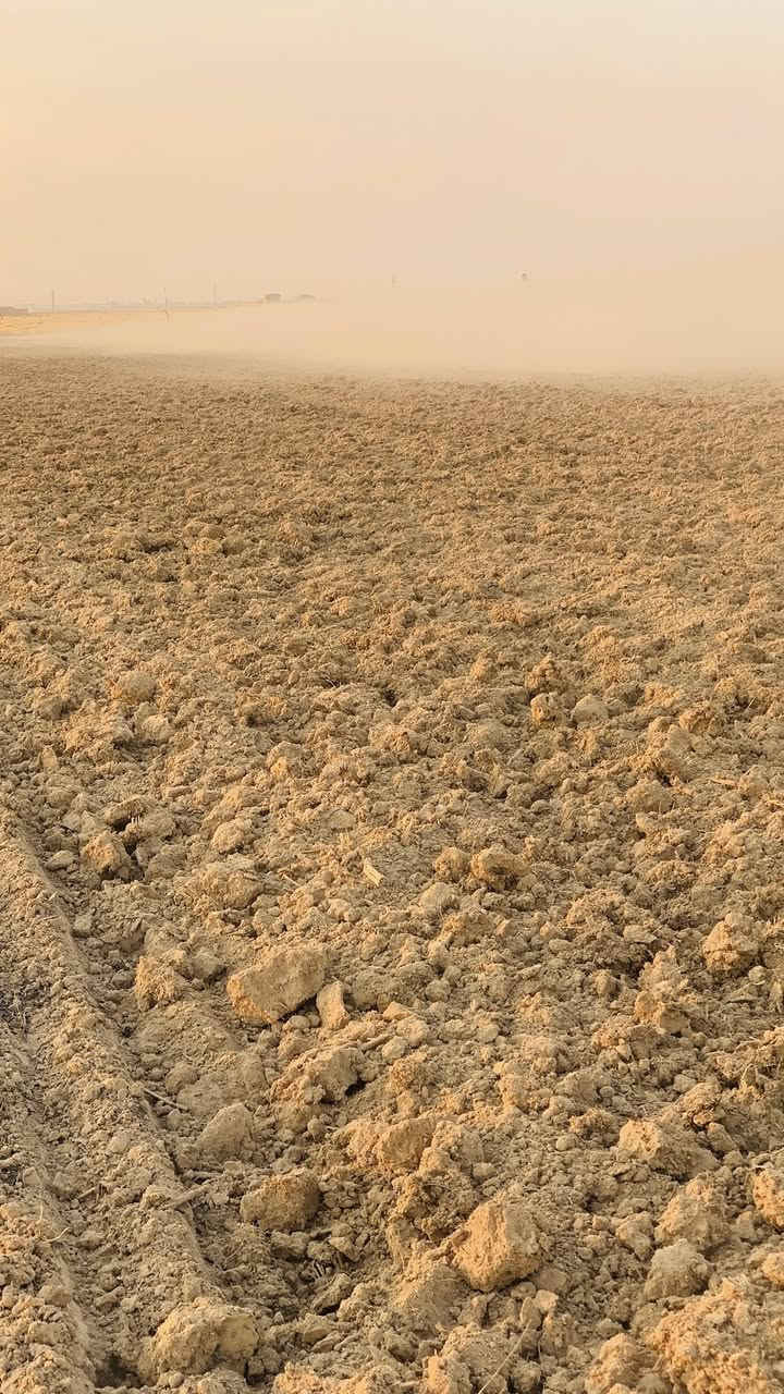 السلام عليكم
يوجد كراب دسكره عريب درجه يك 

من يرغب يتصل ع الرقم

***********

***********

ابو فهد المفرجي
