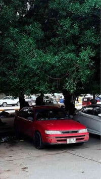 كورلا هاج باك خليجي كير عادي مكينه كير خير من الله حداديه امام خلف جدي...