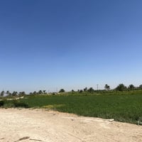 ارض زراعيه للبيع  العنوان طريق كربله نجف عمود 301  ام نعجه للاستفسار ا...