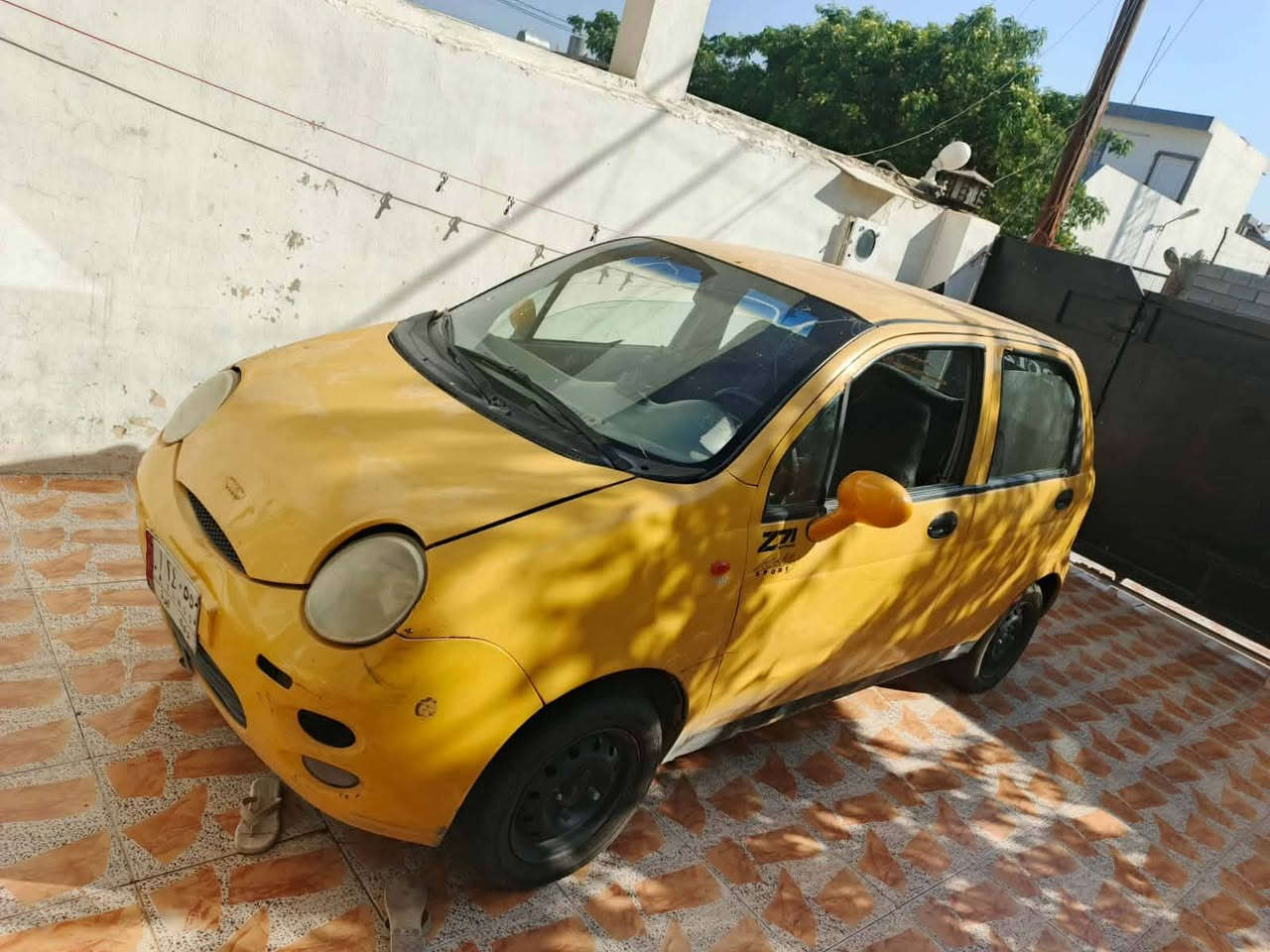 کوکو للبیع   اومرواس    *********** كركوك, العراق
