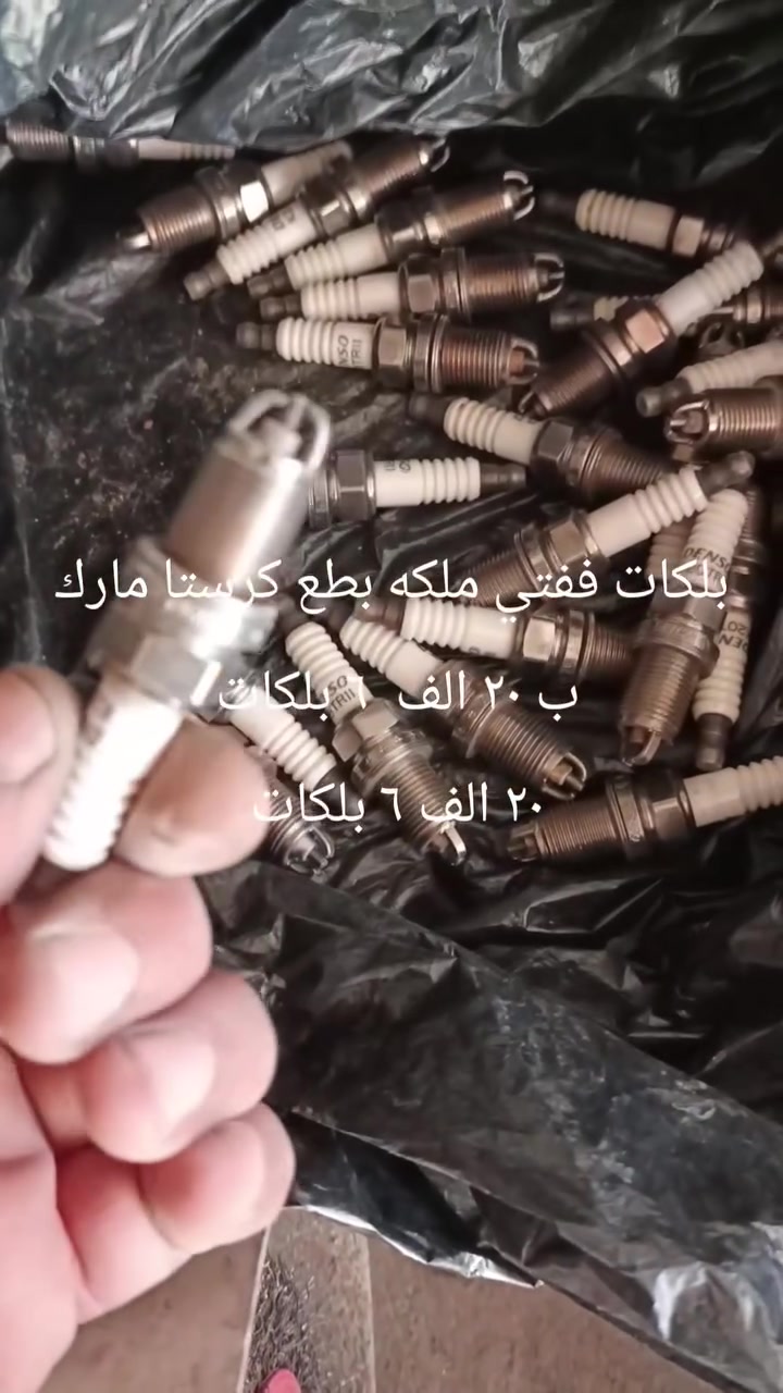 بلك شاهينه حوته ففتي ملكه بطه 
الديوانيه شارع سالم
***********
