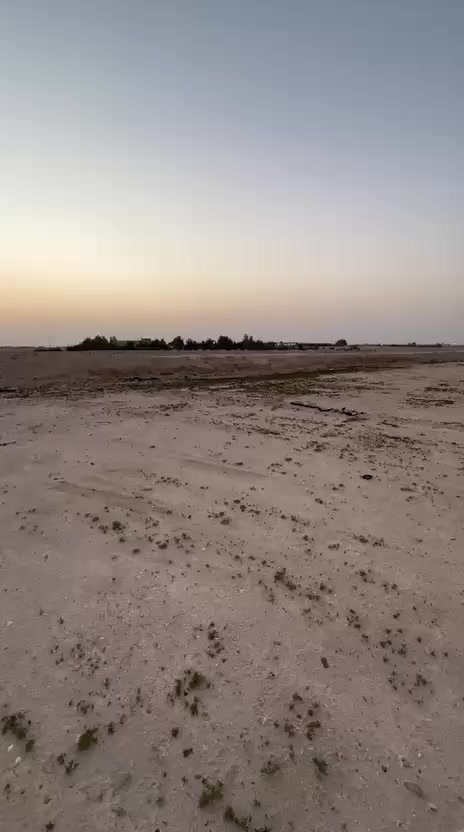 سلام عليكم نص دونم لبيع واجهة 35 ونزال 50 ما ي اساله بل باب و كهرباء ثري فيز بمنطقه  وركن علا شارعين قريب عل ملعب ابو كامل زراعي سعر مناسب جداً *********** واتساب
