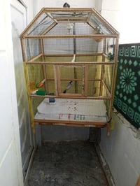 قفص • جاهز من كلشي • المكان الرمادي