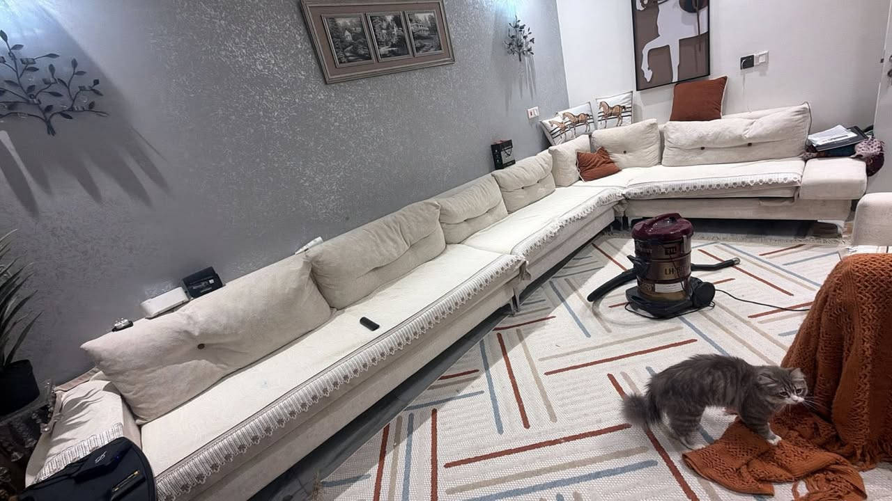 ديوان 8 مقاعد مع قنفتين منفصلة مفرد يعني 10 مقاعد يصير سويته عند شركة برونز بالكراده قبل 7شهور ولضيق المساحة اريد ابيعه كولش جديد وتضيف كلفني 
مليون و850 واريده بمليون مكاني بغداد الكرخ اريده مليون وربع


**إذا كنت صاحب هذا الإعلان وتريد حذفه لأي سبب، رجاءا أرسل رسالة إلى الدعم الفني**