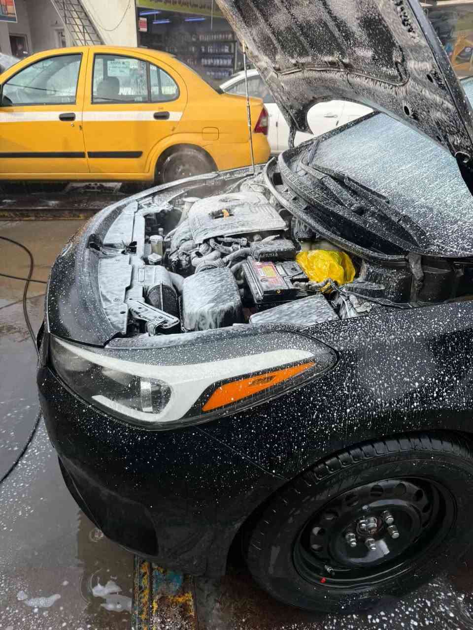 للبيع سعر مناسب 🔥
كيا فورتي 

2018 

محرك 2000 دوش 

ماشية 108 

كيرها AT المرغوب 

كير مكينة كفالة 

لون اسود 

رقم اربيل 

مواصفات شاشه كامرة وهاي ملاعيب 

حادث مرفق بلمنشور باب امامي مبدل باب خلفي مصلح سياره كلش حلوة وجديدة الله شاهد 

مبدل بيها رواجز بدون فتح مكينة ممفتوحة لمكينة 

للاستفسار ***********
