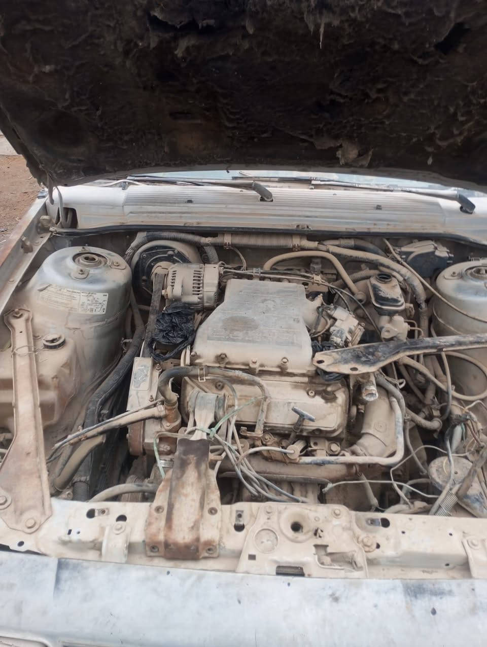 السلام عليكم 
تفصيخ سلبرتي  ... شتحتاج للبيع 
مكاني بغداد جسر ديالى الجديد بالحي الصناعي 
***********
***********
