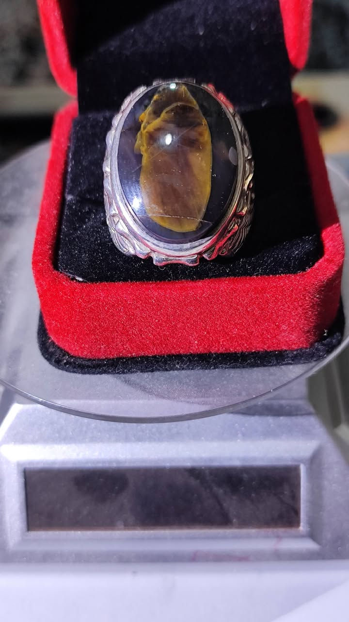 السلام عليكم ورحمه الله وبركاته 
خاتم جميل مصور للبيع صياغة واضحه جد حجر عقيق مصور واضح 
السعر 600 الف يعجبك حياك الله 
ميعجبك هم حياك الله 
تحياتي للجميع


**إذا كنت صاحب هذا الإعلان وتريد حذفه لأي سبب، رجاءا أرسل رسالة إلى الدعم الفني**