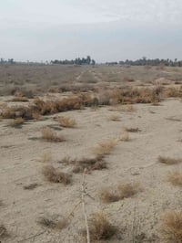 كاع البيع سند ٢٥ طابو شرط تحويل بصمه اصوليه ٢٦ دنوم عدولي عشارع العام ...