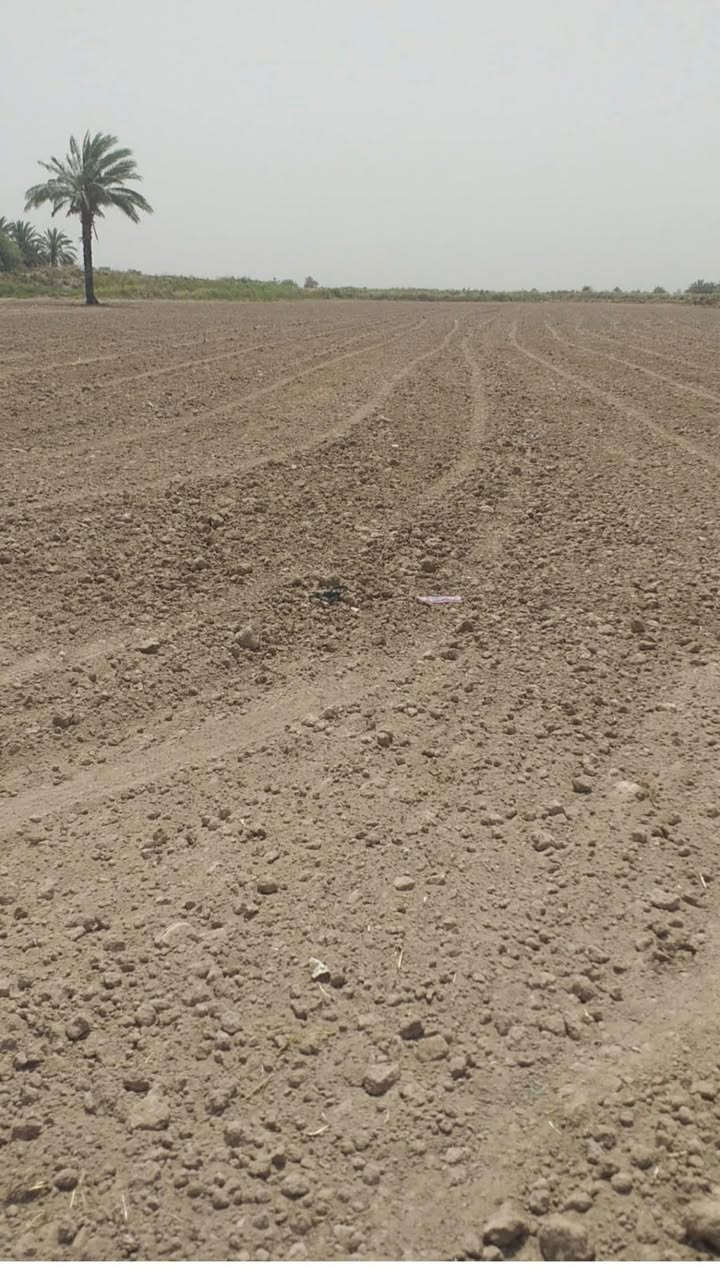 السلام عليكم متوفر دونم وربع  طابو زراعي سند 25 في بغداد قضاء المحموديه تبعد عن حولي المحموديه كيلو ونص منطقة شيشبار سعر الدونم وربع 45
ملاحضه/ الأرض صاير وجهها مباشر ع الاروائي متوفر ماء وكهرباء  للاستفسار عن بقية المعلومات للأتصال *********** 
***********بي واتساب  //  تفضل خاص
