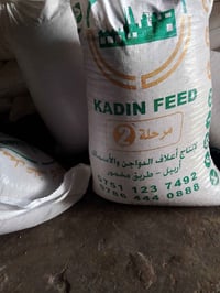 علف بروتين • مشتري • خاص