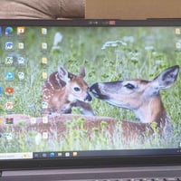 لينوفو • جيل ١١ • استعمال شهر