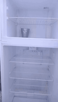 ٠٧٧١٠١٤٢٤٤٢