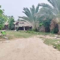 بيت • ٩٠٠م • بداية شارع الرجيبة