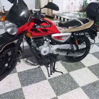 بوكسر جبلي • موديل 22 • الشطره