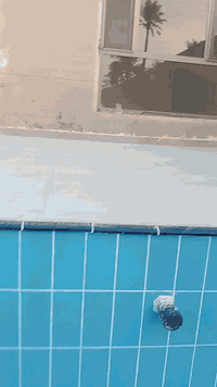 موجود خلفه سيراميك جدران ورضيات وبورسلين وبيات شغل مسابح درجه اولى مصري وتسلم مهندسين ***********بغداد
