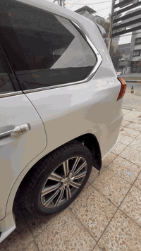 بريم فول • ٢٠١٧ • بغداد البلديات