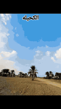 سلام عليكم حفاره Z 3موديل 2010 مرقمه رقم قادسيه بسمي   وجاهزه ومكفوله كفاله عامه وجاهزه للعمل مكان المكينه بابل النيل اي ستفسار اتصال***********📞
