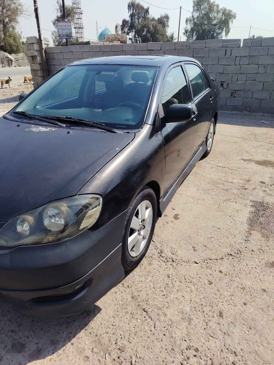 السلام عليكم تخم ويل كب مراوس بويل اسود حجم ١٥ والويل كب هم ١٥ مكاني بياع ***********
