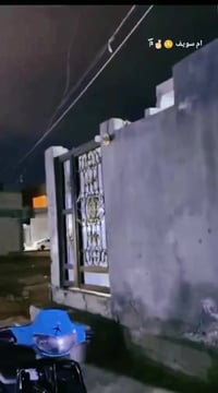 فراشه • منغولي • نجف