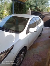 كورلا خليجي • ٢٠١٨ • رقم اربيل