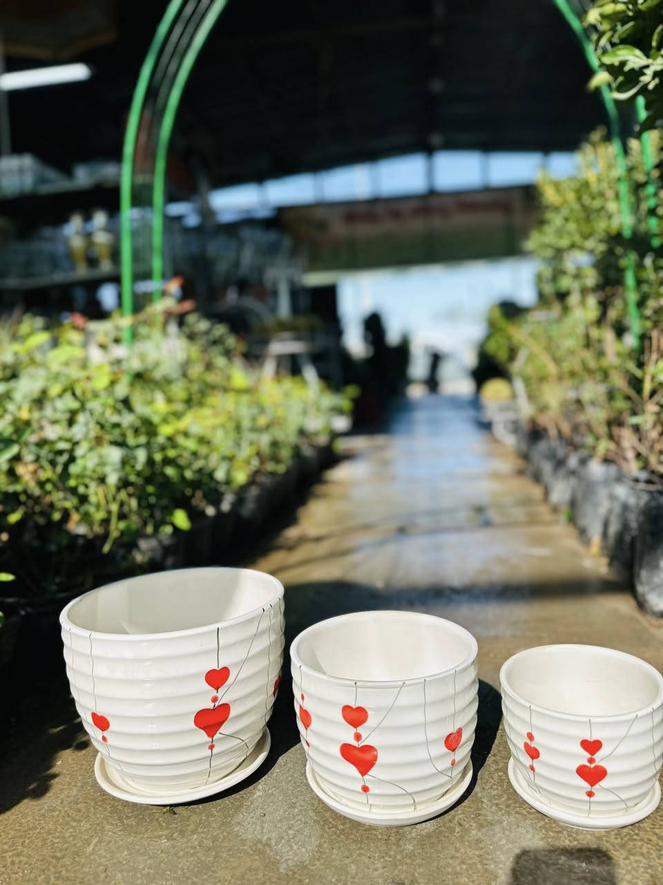 🌸اللهم صل على محمد وال محمد 🌸
🍃مشتل ابو مهدي الحسني 🍃
وصول السنادين الزجاجيه نوعيه ممتازه 
العنوان صلاح الدين قضاء بلد
 شارع الفرات قرب نافورة الحي الصناعي 
📞***********📞
