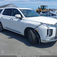 باليسايد • ٢٠٢٤ • تخريج كتاب الشهداء