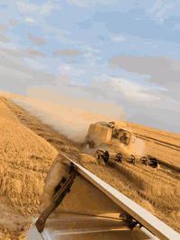 السلام عليكم حاصدة للبيع موديل 2020

خمسة بلم اوربي فول مواصفات حجم 5.90  للاستفسار الاتصال برقم ***********
