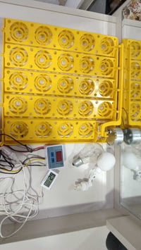 صلى على محمد جدد  كلش استخدام مره واحده قلاب 24 بيضه   حساس رطوبه   تا...