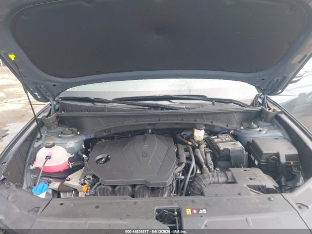 2025 HYUNDAI TUCSON SEL CONVENIENCE
تاريخ المزاد: 6/2
السعر: حسب المزاد
المسافة المقطوعة 17194 mi
#نشحن الى دبي و عمان و البصرة و كردستان و تركيا
بالامكان ادخالها
 #بكتاب_ذوي_الشهداء_باعفاء_كمركي_مع_اعفاء_الرقم 
#العقبة
#ام_قصر
#الشمال
⬅️نتكفل بالسيارة لحين وصولها 
⬅️اي استفسار مراجعة المكتب 
⬅️ عملنا شراء السيارات من المزادات الامريكية والكندية
#لدينا_تقرير_Carfax_مجاني_فحص السيارة قبل دخولها المزاد 
⬅️لدينا ورشة تصليح في دبي 
⬅️لدينا معقب لتخليص السيارات (حرة  او ذوي الشهداء ) و ايصالها الى الزبائن
📍العنوان النمرود #قرية_السيد_حمد 
⬅️اوقات الدوام من 4:30 عصراً وحتى ال11 ليلاً كافة ايام الاسبوع 
ما عدا السبت والاحد عطلة المزاد 
☎️ للاستفسار الاتصال على الرقم
عمر سعد
*********** :📞
*********** : 📞
