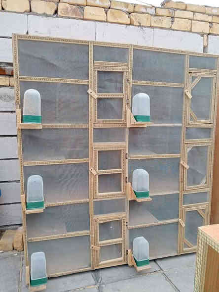 جنايتنه الكرام تفصال خانات حسب الطلب وجميع مستلزمات الطيور اطوار حضانات المكان زديناويه قرب الدله وموجود توصيل داخل الناصريه
*********** رقم الواتساب
