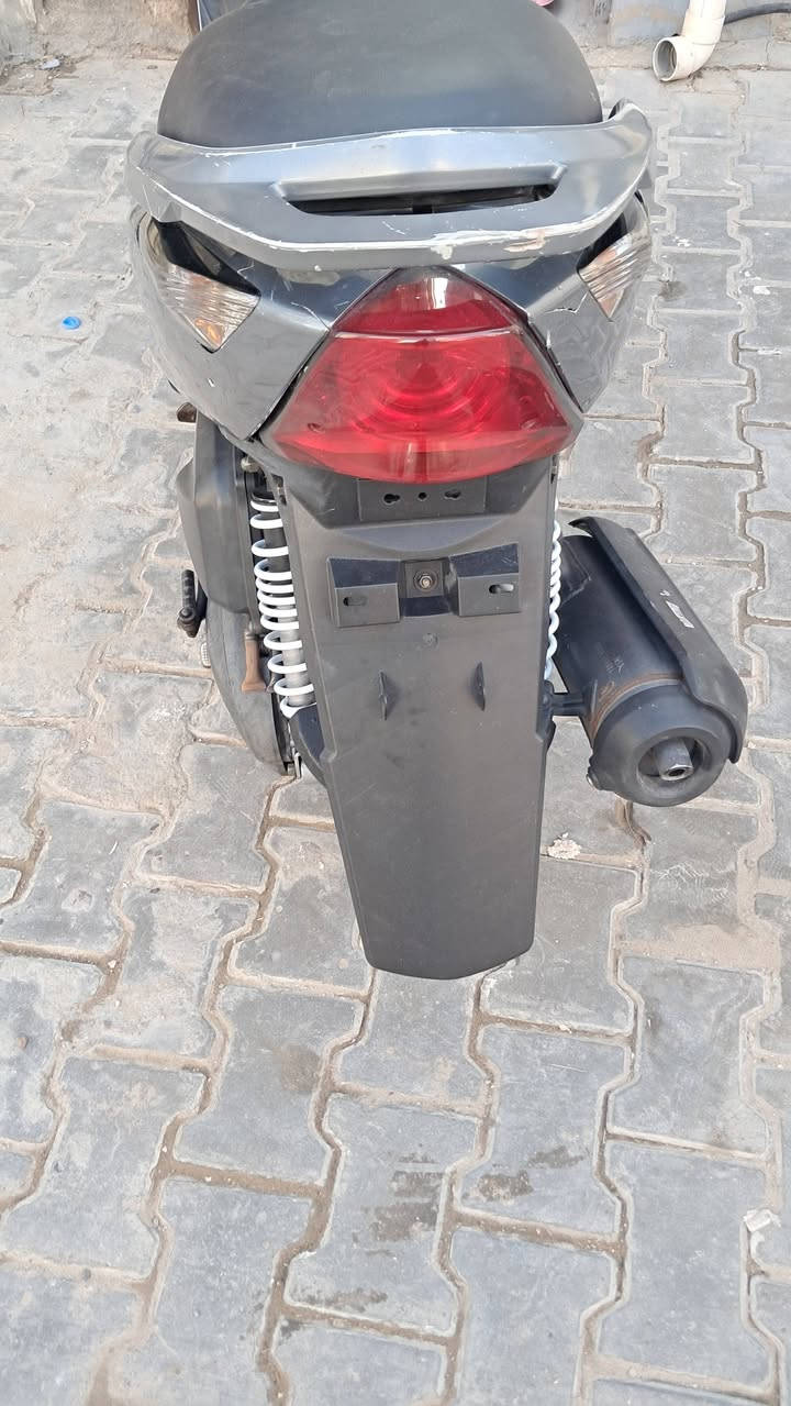 ماكس ثعلب نوزل رمبه العنوان الحريه ***********

