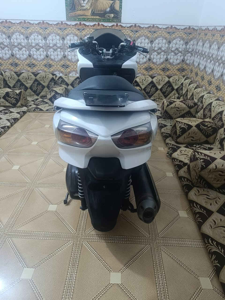 فورزه 0/10.    S7    
7 كير 4 تحويلات دراجه مكفوله 
دراجه نضافت كفراتهه 75 عوزهه فقط بس التريشه الي من الجيهه اليسره فقط غير شي ماعوزهه كلشي واضح بل تصوير يمك 

العنوان واسط كوت قضاء الحي للستفسار ع رقم ***********
للستفسار ع رقم
