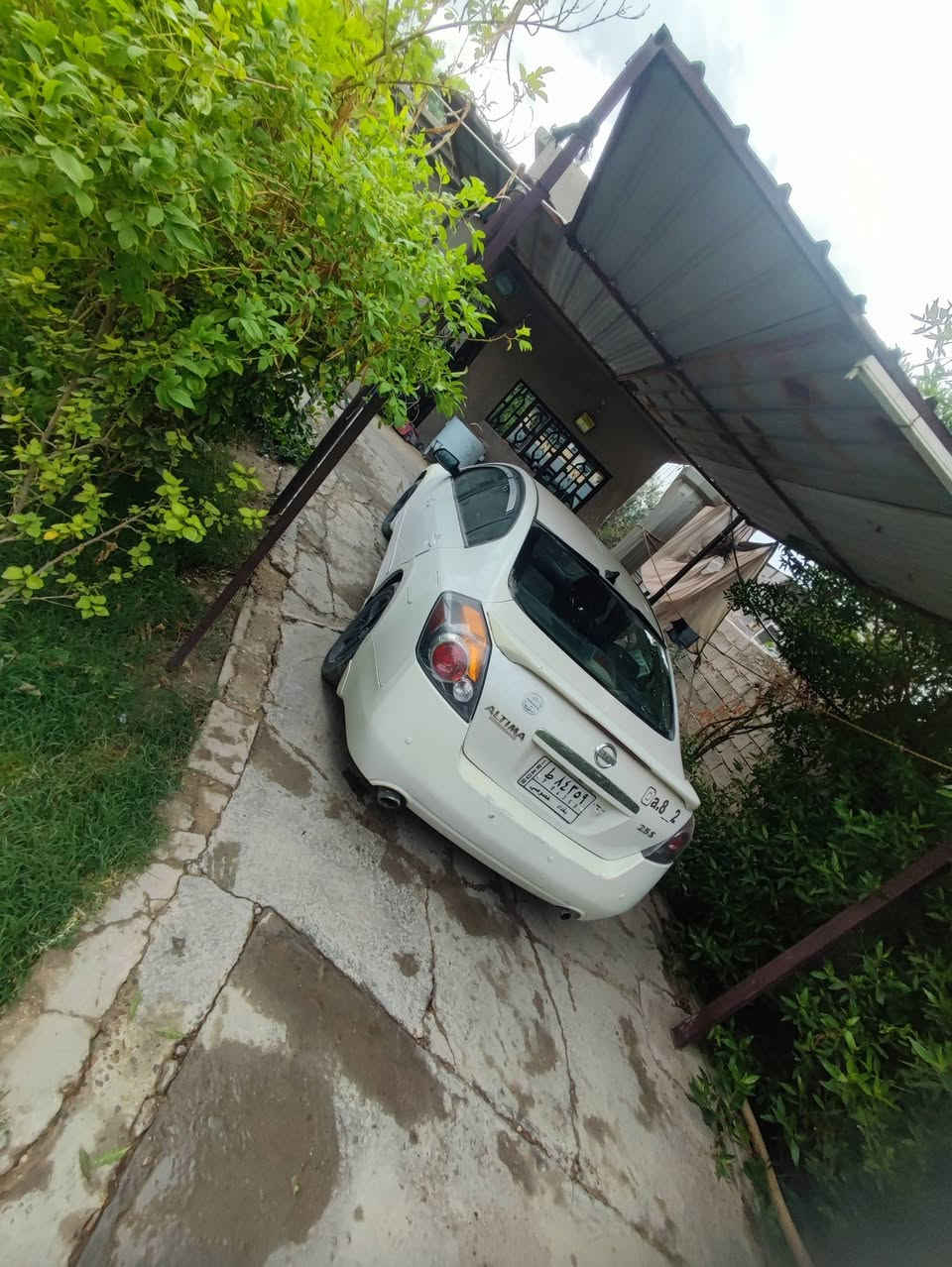 السلام عليكم نيسان التيما ٢٠٠٩ بأسمي رقم بغداد مصبوغه احزام كير محرك تبريد صدر كهربائيات سليم مكاني بغداد الدوره سعر ٦٨ *********** واتساب
