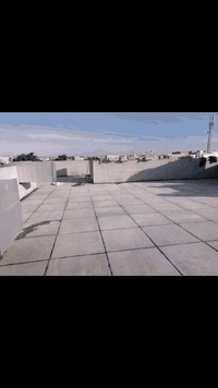 كركوك • تطبيك • اشتايكر