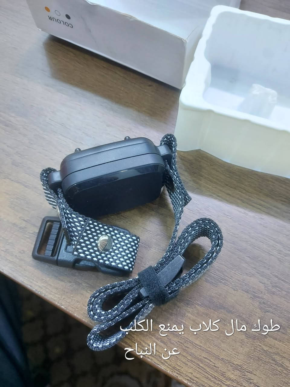 كلمن وسعره بصوره اسعار نهائيه توصيل جميع المحافضات عل مشتري


**إذا كنت صاحب هذا الإعلان وتريد حذفه لأي سبب، رجاءا أرسل رسالة إلى الدعم الفني**