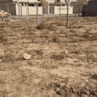 ارض سكنيه للبيع 240 متر ركن عقد 35  الموقع ام الحدايل  متوفر جميع خدما...