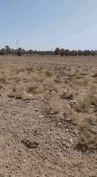 شمال بغداد ''التاجي''
ارض زراعيه المساحه 6دونم عقد 117 مستطيله واجهة 50 نزال 300 تبليط من امامها وخلفها متوفر ماء وكهرباء قرب مدارس  سيد الشهداء   التاجي قريه عواد الحسين  نهر صافي سعر الدونم 18 قابل للتفاوض
بيع 3 دونم او6 فقط للاستفسار ***********
***********
