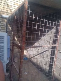 قفص حديده كله ثقيل جدا البيارسي الاصلي والثقيل ارتفاع مترين والعرض متر...