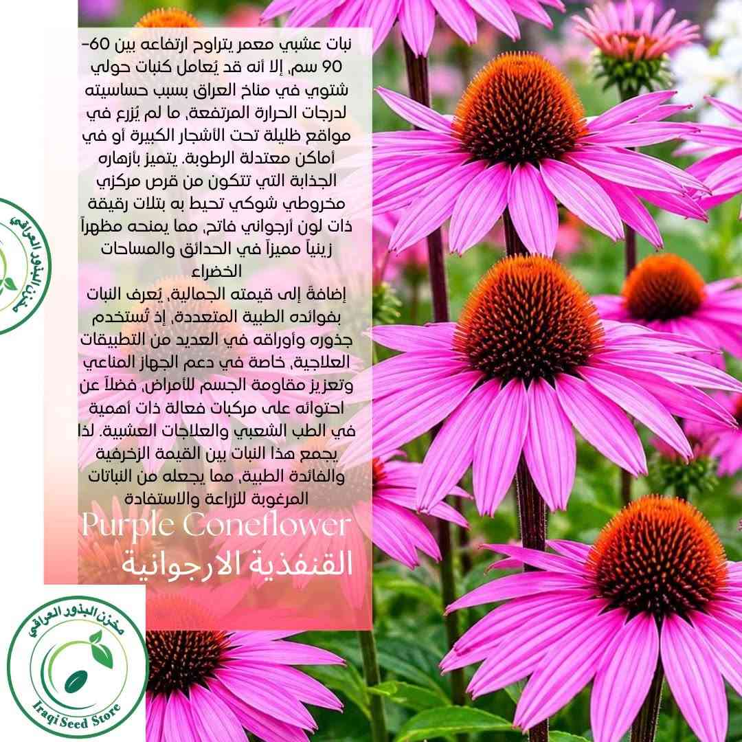مجموعة جديدة من البذور  نوفر لكم في مخزن البذور العراقي  اندر أنواع البذور وأجودها بذور أزهار متنوعة تضيف جمال لحديقتك ومزرعتك تبدأ الاسعار من 1500_2000 دينار 
🥒 بذور خضراوات طازجة لزراعة منزلية ناجحة  
🌳 بذور أشجار مثمرة ونباتات زينة  
✨ أصناف نادرة ومميزة لهواة التميز  
✅ إنبات عالي ونتائج مضمونة  
✅ جودة مختارة بعناية  
📦 توصيل متوفر إلى جميع محافظات العراق 🇮🇶  
📩 اطلب الآن وابدأ موسمك بثقة 
1-للاطلاع على كل أنواع البذور الدخول الى قناة التليكرام https://t.me/Iraqiseedstore
‏2-‏اتبع هذا الرابط لمشاهدة الكتالوج الخاص بنا في واتساب: https://wa.me/c/9647886206979

🚚 خدمة توصيل متوفرة لكل محافظات العراق
