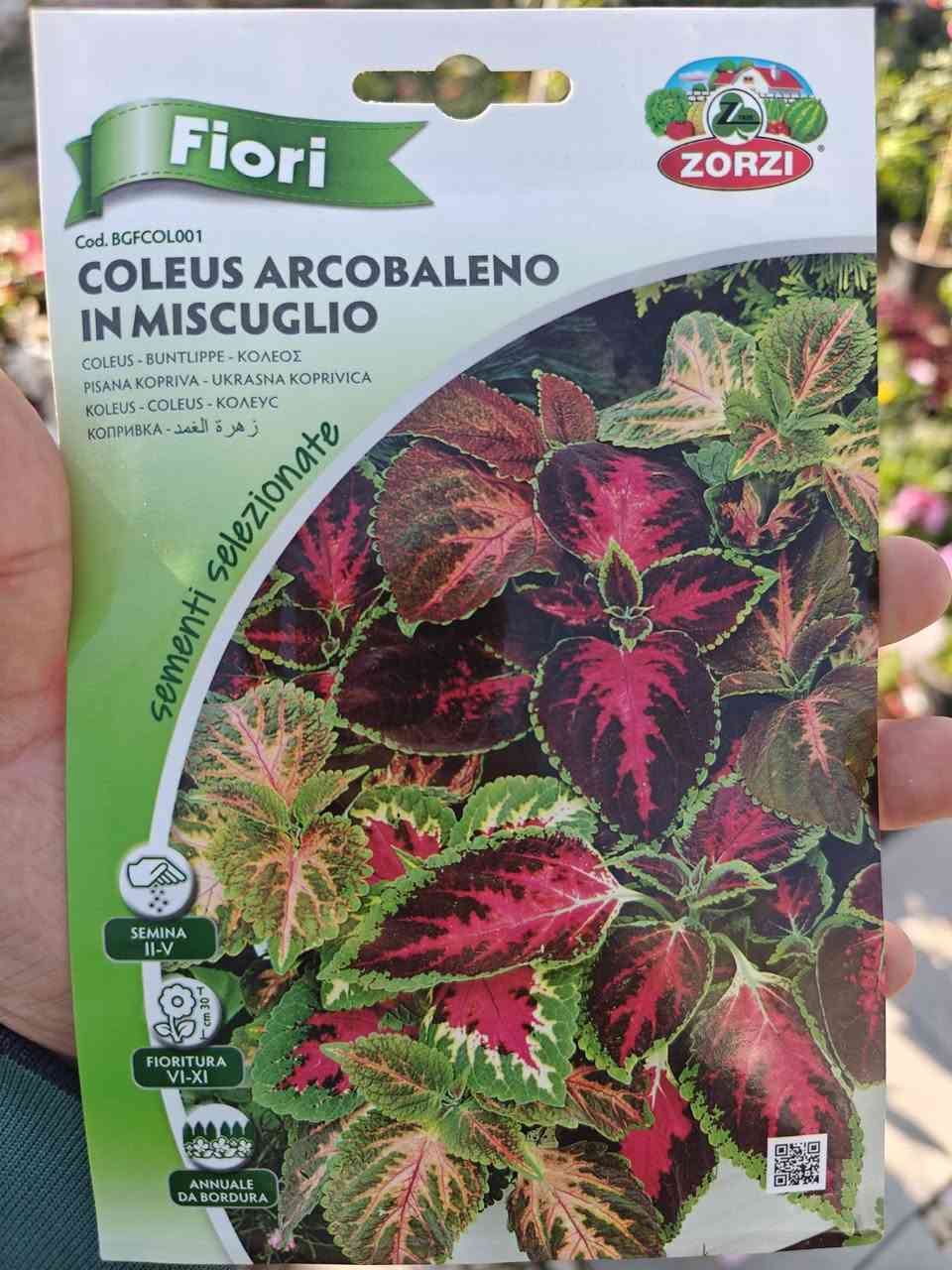 بذور الزهور الصيفية🌸 🏵️🌷
السعر 1250 للمغلف الواحد

زورونا في فروعنا 
📍الفلوجة - شارع 40 - مقابل سنتر ملامح
  الفلوجة - السوق العصري 
✔️ خدمة توصيل إلى كافة المحافظات 🚚
***********

#نباتات #نباتات_منزلية #نباتات_طبيعيه #نباتات_ظل⁩
