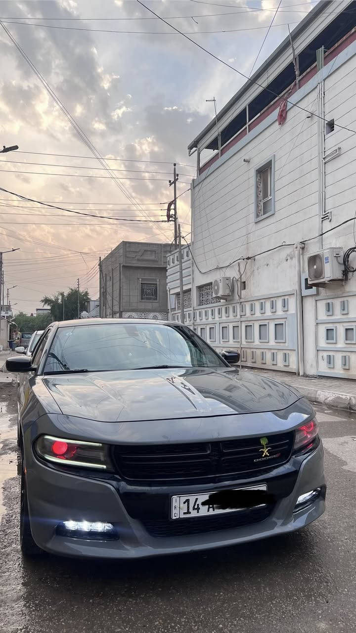 جارجر مديل 2019 وارد امريكي تقرير غرق نسبه 15‎%‎ ، كفاله من الصبغ والضربه
ماشيه 70mi ، رقم بصره ،
***********
