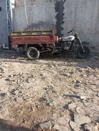 ستوته • ثلاث عجلات • شطره