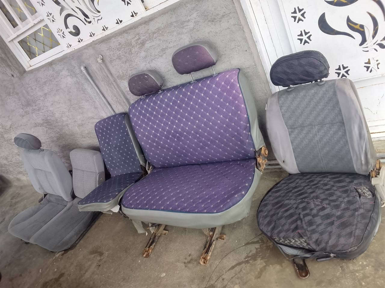 تخم كشنات مال بريجو للبيع***********،
