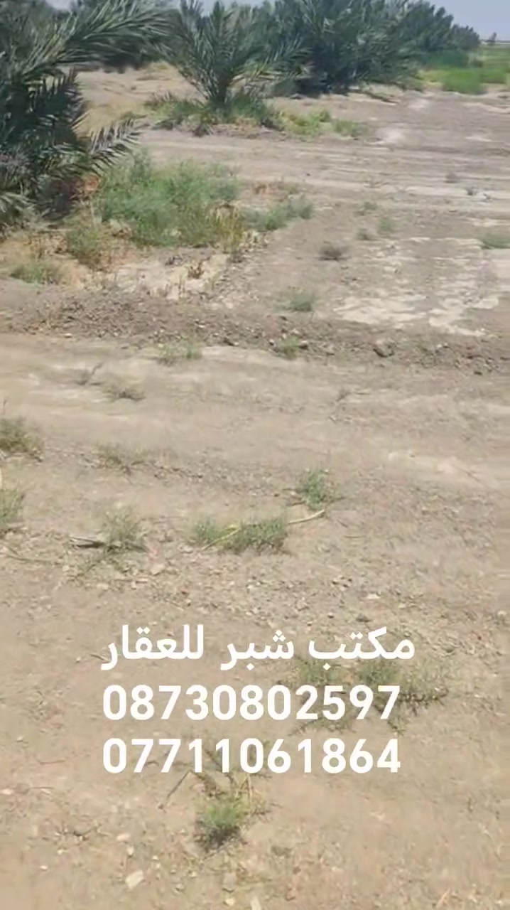 مكتب شبر للعقار  ***********
***********
