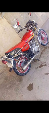 سولنك ٢٣ • مكفول • فوك