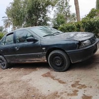 بريميره • بابل جبله • سنوية