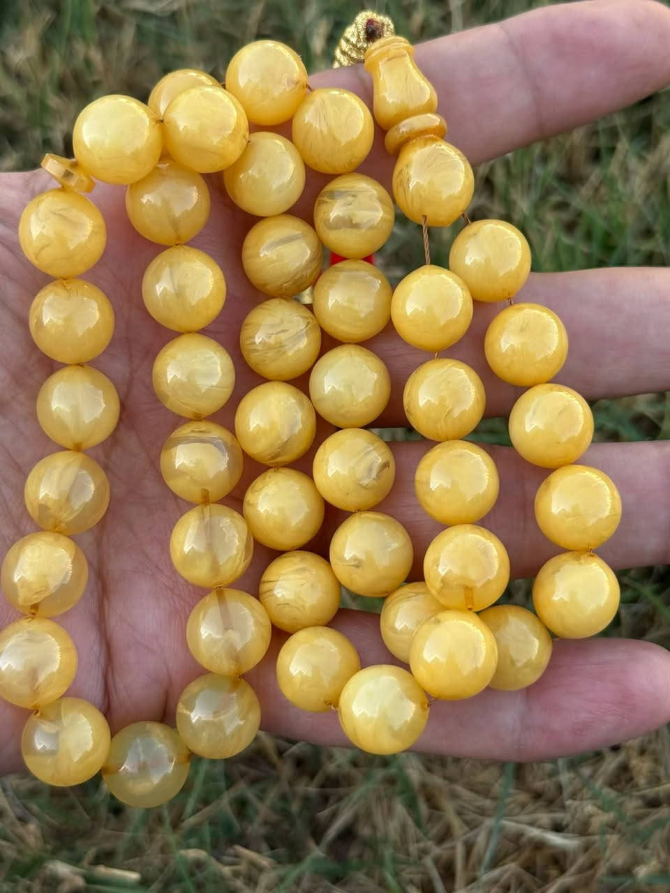 سندلوس المانيه انتيك جراخه كويتيه 45 حبه سعر خاص


**إذا كنت صاحب هذا الإعلان وتريد حذفه لأي سبب، رجاءا أرسل رسالة إلى الدعم الفني**