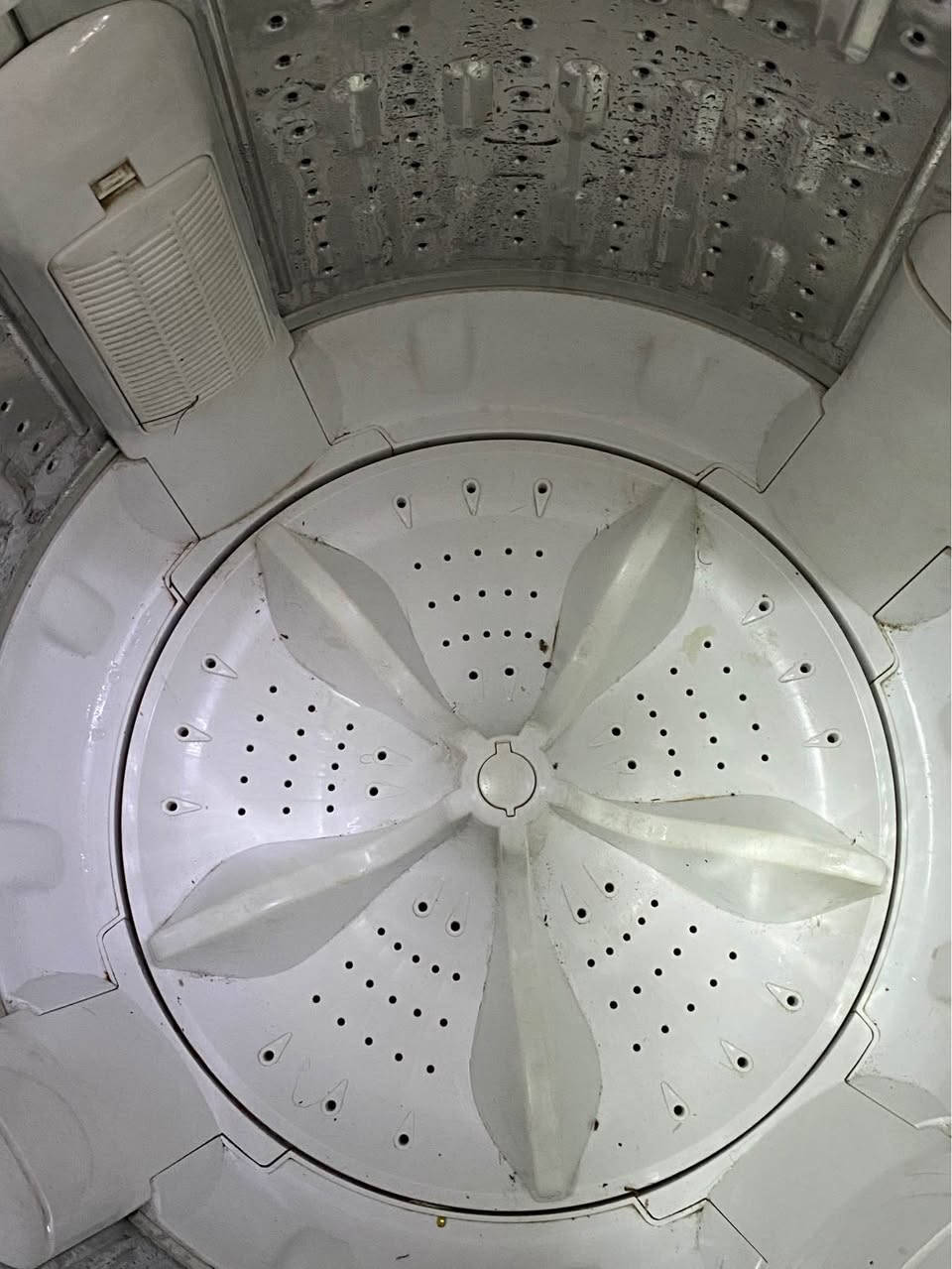 ‎سلام عليكم 
غساله جديده ما مستعمله فقط شهر واحد نضيفه اوتوماتيكيا نظام الغساله الغسل والتجفيف كامله‎ الرمادي, الأنبار


**إذا كنت صاحب هذا الإعلان وتريد حذفه لأي سبب، رجاءا أرسل رسالة إلى الدعم الفني**