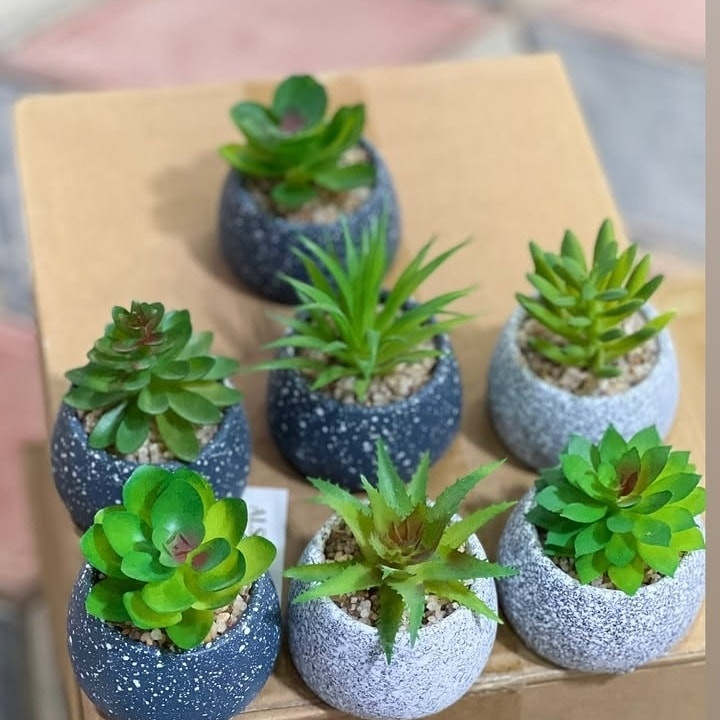 اللهم صل على محمد وال محمد 
#جديدنا_في_
#مجمع _ الرحمه 
تشكيلة سنادين صغيره 🍀
السعر /2000 
التوصيل فقط الاحياء القريبه  
 💗العنوان 📋 كربلاء/ سيف سعد شارع السوق الرئيسي مقابيل ماكولات ابوغيث اواولاد خصاف
☎️ للحجز يُرجى إرسال العنوان ورقم الموبايل على  الخاص او الاتصال بالرقم ***********   متوفر( فايبر - وتساب)
